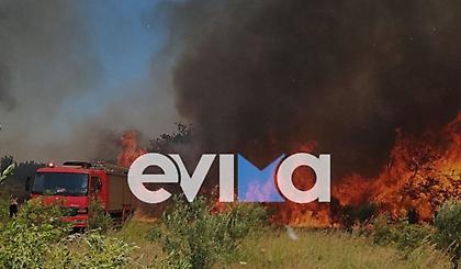 Αλιβέρι: Φωτιά κοντά σε σπίτια - Δύο μηνύματα από το 112 για εκκενώσεις οικισμών