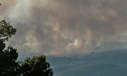 Πυροσβεστική: 39 αγροτοδασικές πυρκαγιές το τελευταίο 24ωρο σε όλη τη χώρα