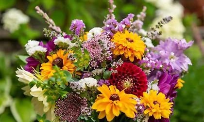 Εορτολόγιο: Ποιοι γιορτάζουν σήμερα, 14 Ιουλίου