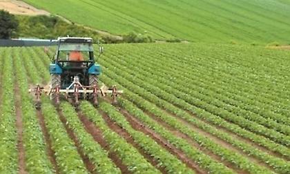 Σκάνδαλο ΟΠΕΚΕΠΕ: Ξεκινούν τον Αύγουστο οι κατασχέσεις περιουσιακών στοιχείων