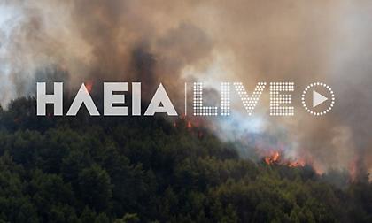 Μαίνεται η φωτιά στην Ηλεία – Νέα ενίσχυση των πυροσβεστικών δυνάμεων