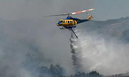 Φωτιά στη Βοιωτία - Σηκώθηκαν εναέρια μέσα