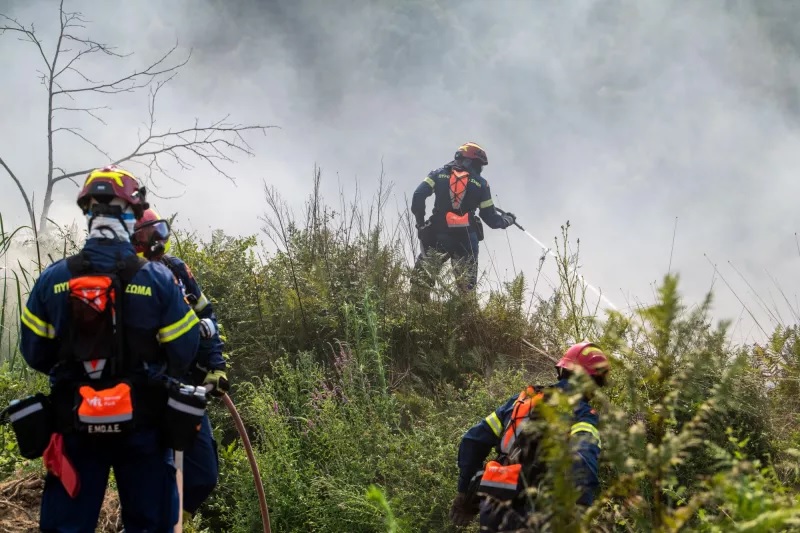 Φωτιά στην Αμαλιάδα: Διάσπαρτες εστίες στην περιοχή Γεράκι