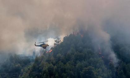 Αμαλιάδα: Διάσπαρτες εστίες φωτιάς στο Γεράκι - Μάχη να μην φτάσουν οι φλόγες σε κατοικημένες περιοχές