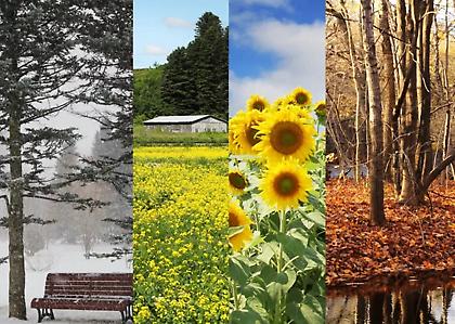 Καιρός: Οι μέγιστες τιμές της θερμοκρασίας σήμερα τοπικά στα ηπειρωτικά 40 με 43 βαθμούς