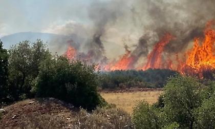 Πολύ υψηλός κίνδυνος πυρκαγιάς σήμερα σε Ιόνιο, Αρκαδία, Μεσσηνία, Ηλεία και Αχαΐα