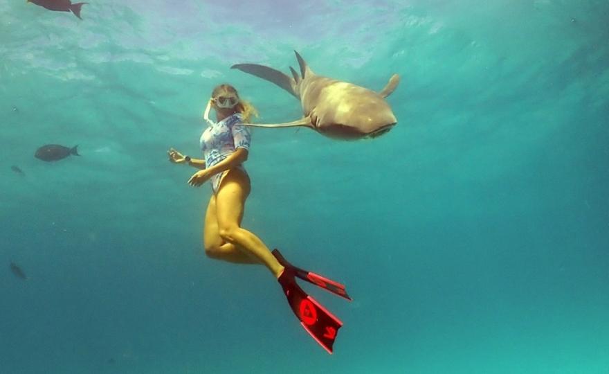 Κατερίνα Τοπούζογλου: Η πρώην εστεμμένη που βουτάει με τους καρχαρίες και σου λέει, είναι safe μπες κι εσύ