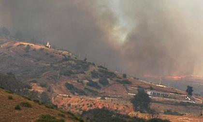 Μεγάλες φωτιές σε Αττική, Εύβοια, Μεσσηνία και Κύθηρα – Καίγονται σπίτια στο Κρυονέρι