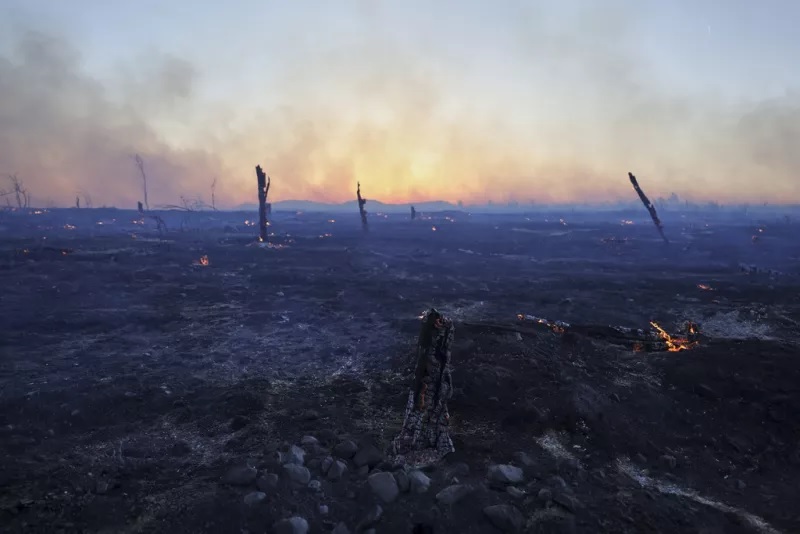 Η επόμενη μέρα μετά τη φωτιά στο Κρυονέρι