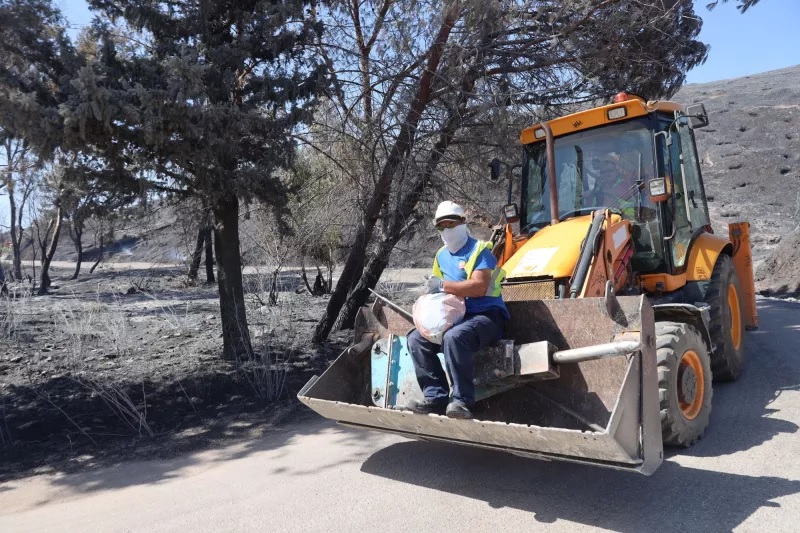 Η επόμενη μέρα μετά τη φωτιά στο Κρυονέρι