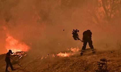 Αττική: Χωρίς ενεργό μέτωπο η φωτιά στο Κρυονέρι – Επί τόπου ισχυρές πυροσβεστικές δυνάμεις