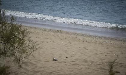 Ιατροδικαστική για το κοριτσάκι στο Π. Φάληρο: Από πνιγμό ο θάνατος - Δεν εντοπίστηκαν ίχνη εγκληματικής ενέργειας