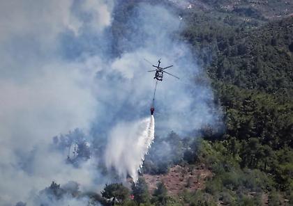 Πύρινη κόλαση στην Τουρκία: Μαίνονται 4 μεγάλες φωτιές - Στους 14 οι νεκροί