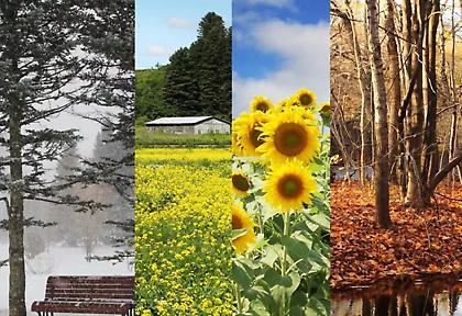 Καιρός: Μικρή πτώση της θερμοκρασίας, ισχυροί άνεμοι στο Αιγαίο