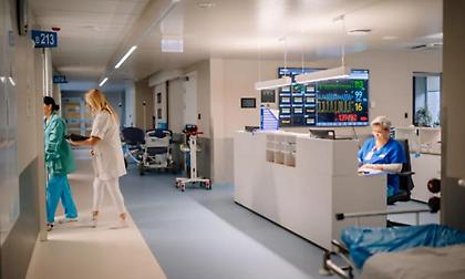 Στο νοσοκομείο του Ρίου 45χρονος που υπέστη έμφραγμα ύστερα από τσίμπημα σφήκας