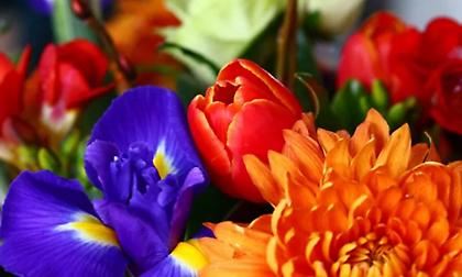 Εορτολόγιο: Ποιοι γιορτάζουν σήμερα, 30 Ιουλίου