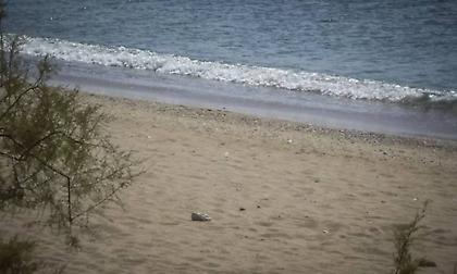 Νεκρό κορίτσι στο Παλαιό Φάληρο: Στο «μικροσκόπιο» τα δύο βίντεο – Αναζητείται η γυναίκα με το καρότσι