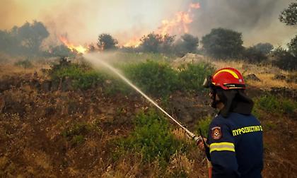 Πάνω από 30 φωτιές το τελευταίο 24ωρο σε όλη τη χώρα - Ερευνες για εμπρησμούς