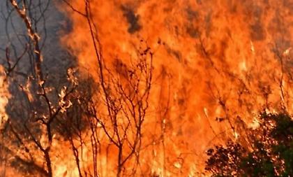 Πυρκαγιά στη Ναυπακτία