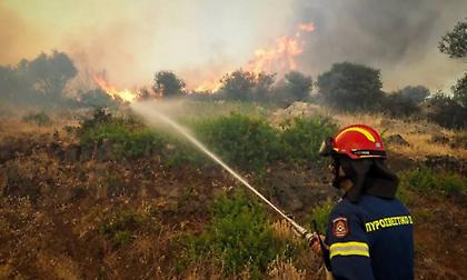 Φωτιά στην Παλαιομάνινα Αιτωλοακαρνανίας - Σηκώθηκαν και εναέρια μέσα
