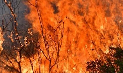 Φωτιά στο Παλαιό Λουτρό Μεσσηνίας