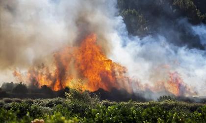 Πυρκαγιά στην Ταρίφα της Ισπανίας: «Σταθεροποιήθηκε» η κατάσταση, επιστρέφουν οι παραθεριστές
