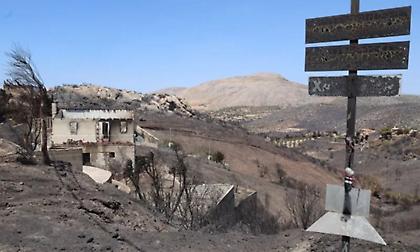 Συλλήψεις υπαλλήλων του ΔΕΔΔΗΕ για τη φωτιά στην Κερατέα - Αναζητείται διευθυντικό στέλεχος