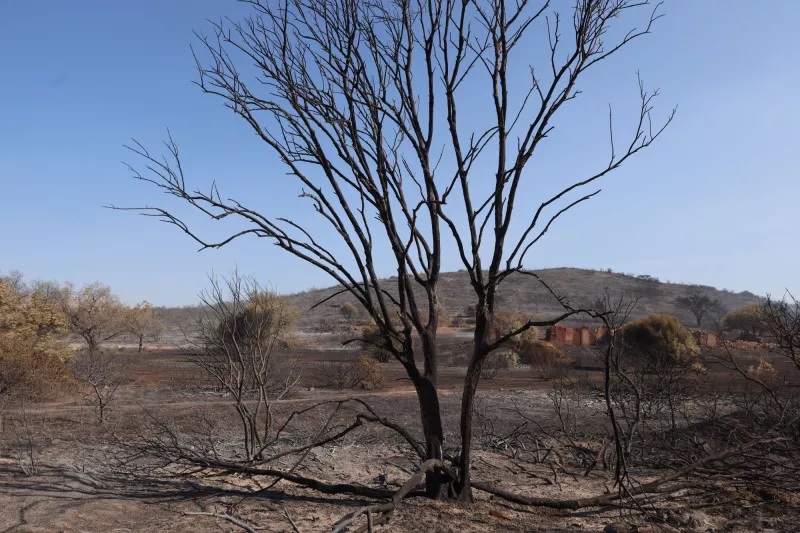 Σε ύφεση η φωτιά στην Ανατολική Αττική - Μάχη με τις αναζωπυρώσεις