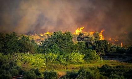 Συνεχίζεται η μάχη με τις φλόγες στην Ανατολική Αττική - Δείτε live τις φωτιές που είναι σε εξέλιξη στη χώρα