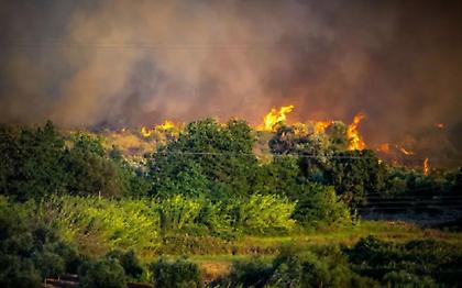 Σε ύφεση η φωτιά στην Ανατολική Αττική - Μάχη με τις αναζωπυρώσεις - Αντιδήμαρχος Σαρωνικού: Βρέθηκε γκαζάκι
