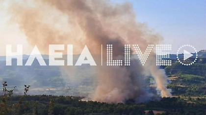 Αναζωπυρώθηκε η φωτιά στην Αρχαία Ολυμπία - Ισχυροί άνεμοι στην περιοχή