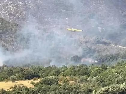 Δύο πυροσβεστικά αεροσκάφη στην Αλβανία στέλνει η Ελλάδα – Για 7η ημέρα μαίνονται οι φλόγες