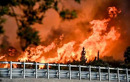 Ανεξέλεγκτη η φωτιά στην Αχαΐα - Στάχτη σπίτια και επιχειρήσεις