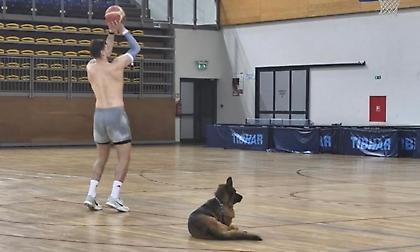 «Και ο μοναδικός»: Η δημοσίευση του Χεζόνια για τον σκύλο του