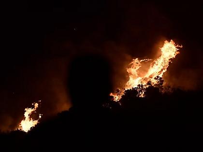 Φωτιές σε Κεφαλονιά και Βόνιτσα – Μηνύματα από το 112 για εκκενώσεις οικισμών