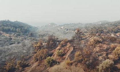 Φωτιά στη Χίο: Πλάνα από drone αποκαλύπτουν το μέγεθος της καταστροφής