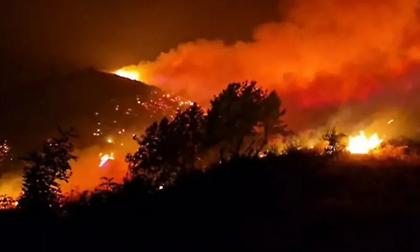 Μεγάλη πυρκαγιά στο Δέλβινο: Εκκενώσεις κατοικιών και μάχη με τις φλόγες