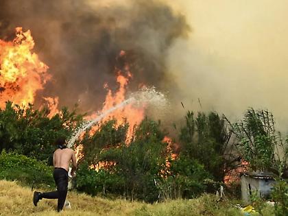 Κατεπείγουσα έρευνα για εμπρησμούς στην Ηπειρο μετά την «κόλαση φωτιάς» στην Πρέβεζα