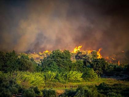 Πολύ υψηλός κίνδυνος πυρκαγιάς τον Δεκαπενταύγουστο στα ανατολικά - Συναγερμός σε 8 περιφέρειες - Χάρτης