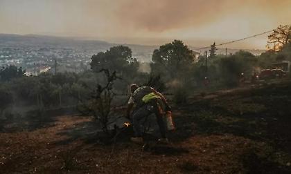 Φωτιά στην Πάτρα: Ομολόγησε 19χρονος για τη φωτιά στα Συχαινά