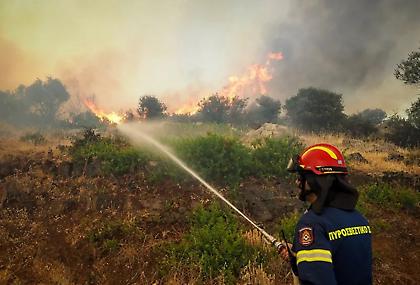 Φωτιά στην στην Αργολίδα