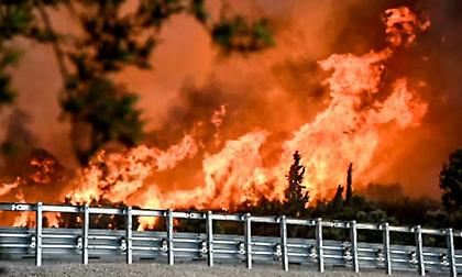 Στα δικαστήρια της Πάτρας οι κατηγορούμενοι για εμπρησμό