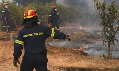 Δικηγόροι 25χρονου για τη φωτιά στην Πάτρα: «Ο εντολέας μας βρέθηκε στην περιοχή αποκλειστικά ως εθελοντής»