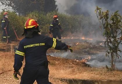 Δικηγόροι 25χρονου για τη φωτιά στην Πάτρα: «Ο εντολέας μας βρέθηκε στην περιοχή με την ιδιότητα του εθελοντή»