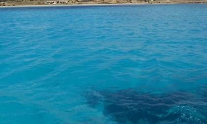 Έρευνες για τον εντοπισμό υποβρύχιων αλιέων στο Παλιούρι Χαλκιδικής