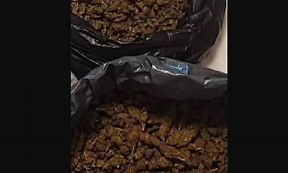 Χανιά: Πάνω από 7 κιλά κάνναβης βρέθηκαν στην επιχείρηση της ΕΛ.ΑΣ στην οποία τραυματίστηκαν αστυνομικοί