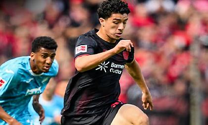 Λεβερκούζεν-Χόφενχαϊμ