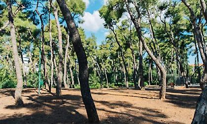 Κλειστό «μέχρι νεωτέρας» το Άλσος Χωροφυλακής μετά τις αποκαλύψεις για το «νεκροταφείο ζώων»