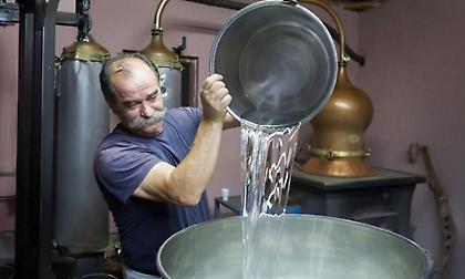 Τσίπουρο, τσικουδιά, ρακή: Μια μικρή εισαγωγή στα μονοπάτια των εθνικών μας ποτών