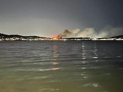 Οριοθετήθηκε μέσα σε λίγα λεπτά η φωτιά στη Σαλαμίνα - Κινητοποιήθηκαν 116 πυροσβέστες